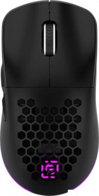 Игровая мышь Oklick 900GMW (черный)
