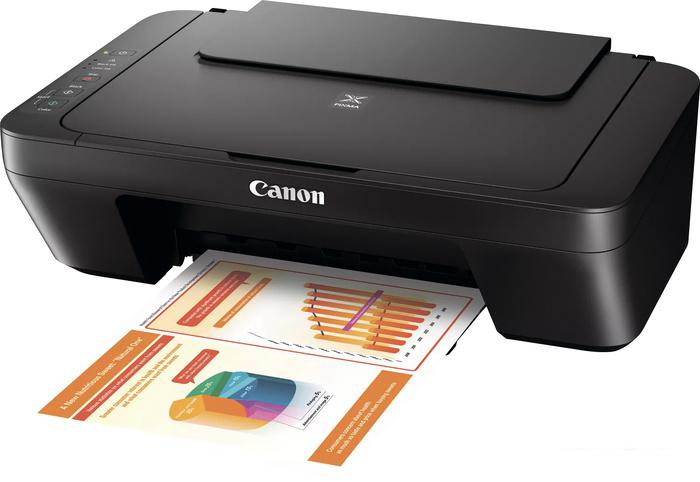МФУ Canon PIXMA MG2555S 0727C026