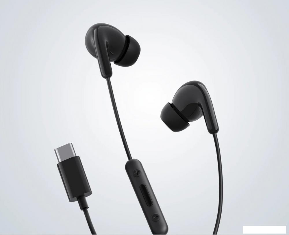 Наушники Xiaomi Type-C Earphones M2413E1 (черный, международная версия)
