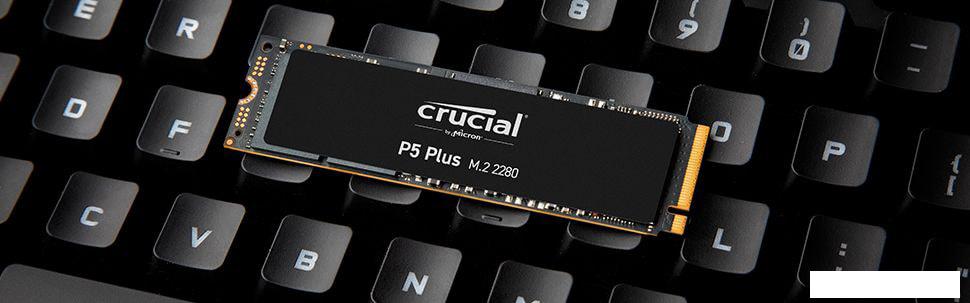 SSD Crucial P5 Plus 1TB CT1000P5PSSD8 SSD Crucial P5 Plus 1TB CT1000P5PSSD8