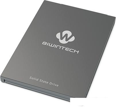 SSD Biwin SX500 256GB 52S3A8Q#G SSD Biwin SX500 256GB 52S3A8Q#G