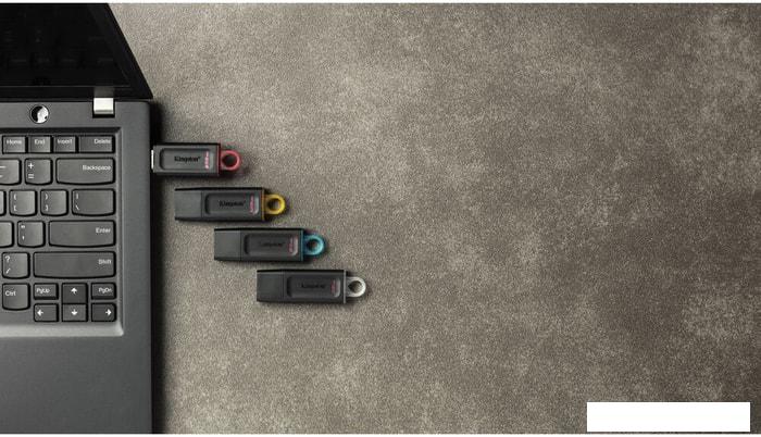 USB Flash Kingston Exodia 256GB
