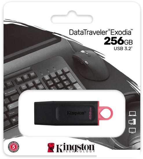 USB Flash Kingston Exodia 256GB
