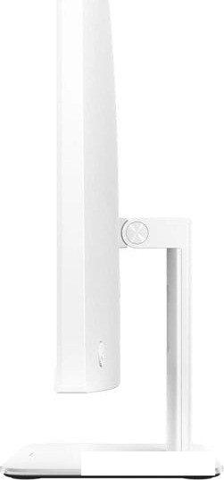 Моноблок ASUS ExpertCenter P600 AiO PM670KA-WPE0300