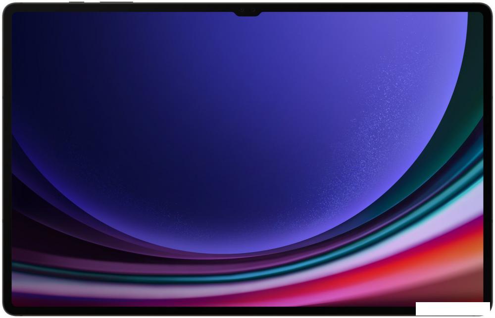 Планшет Samsung Galaxy Tab S9 Ultra 5G SM-X916 16GB/1TB (графитовый)