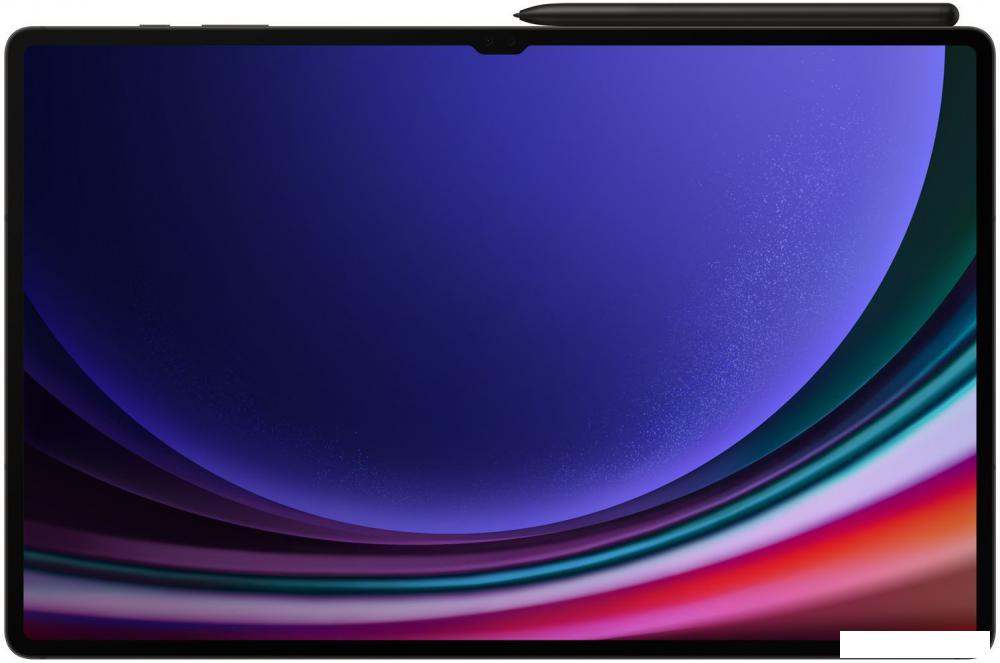 Планшет Samsung Galaxy Tab S9 Ultra 5G SM-X916 16GB/1TB (графитовый)