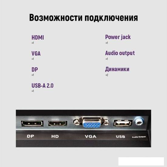Монитор IRBIS ISM24FIDVesa