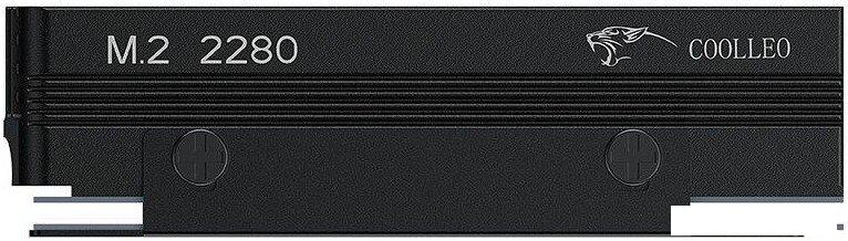 Радиатор для SSD Coolleo CL-V3SSD-BK