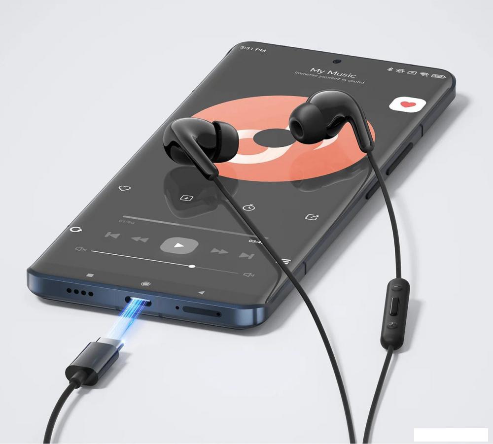 Наушники Xiaomi Type-C Earphones M2413E1 (черный, международная версия)