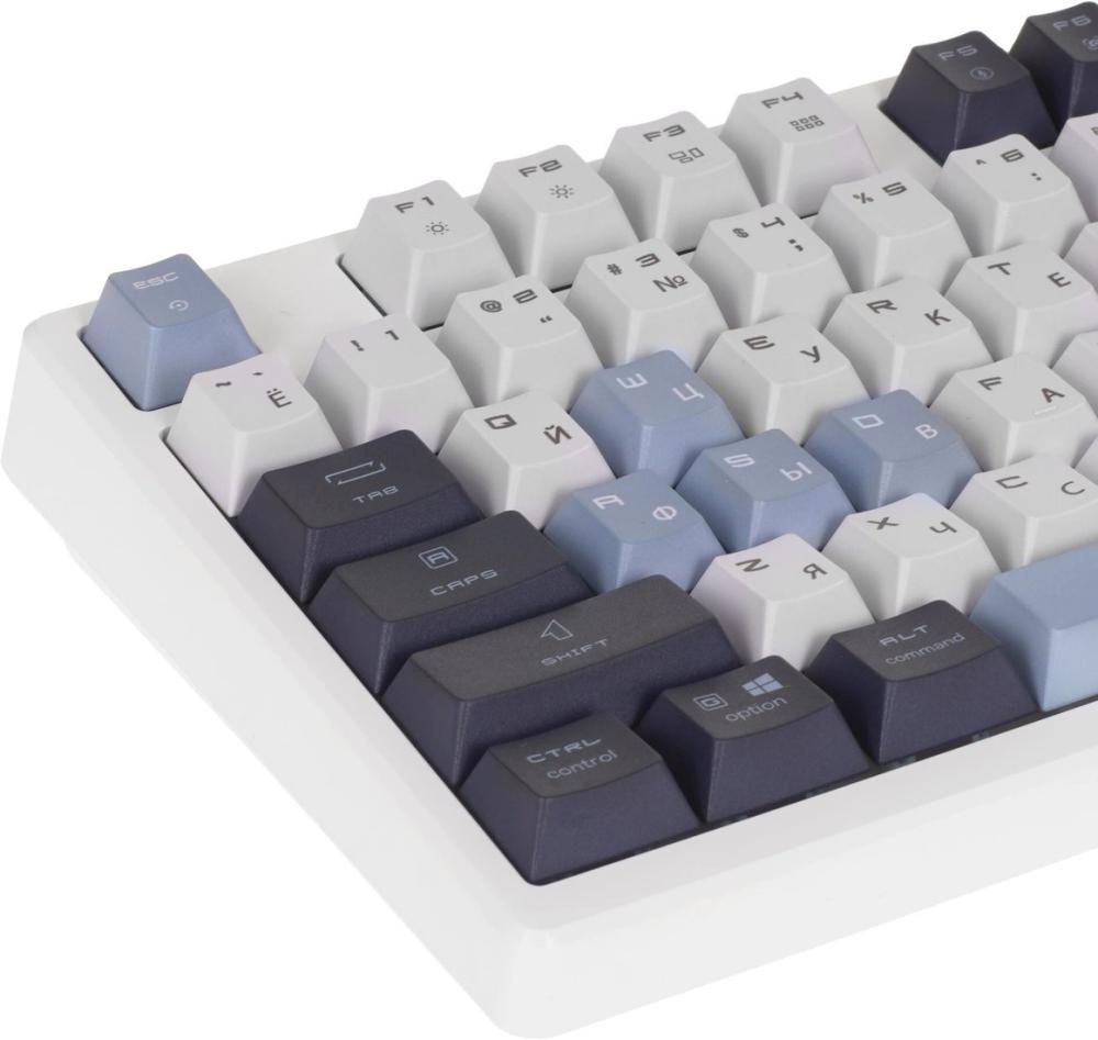 Клавиатура MSI Forge GK600 TKL Wireless Sky