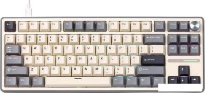 Клавиатура Royal Kludge R87 Pro RGB Half Grey (RK Cream)
