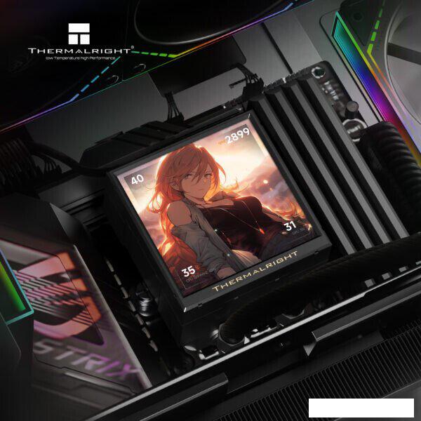 Система жидкостного охлаждения для процессора Thermalright Peerless Vision 240 ARGB (черный)