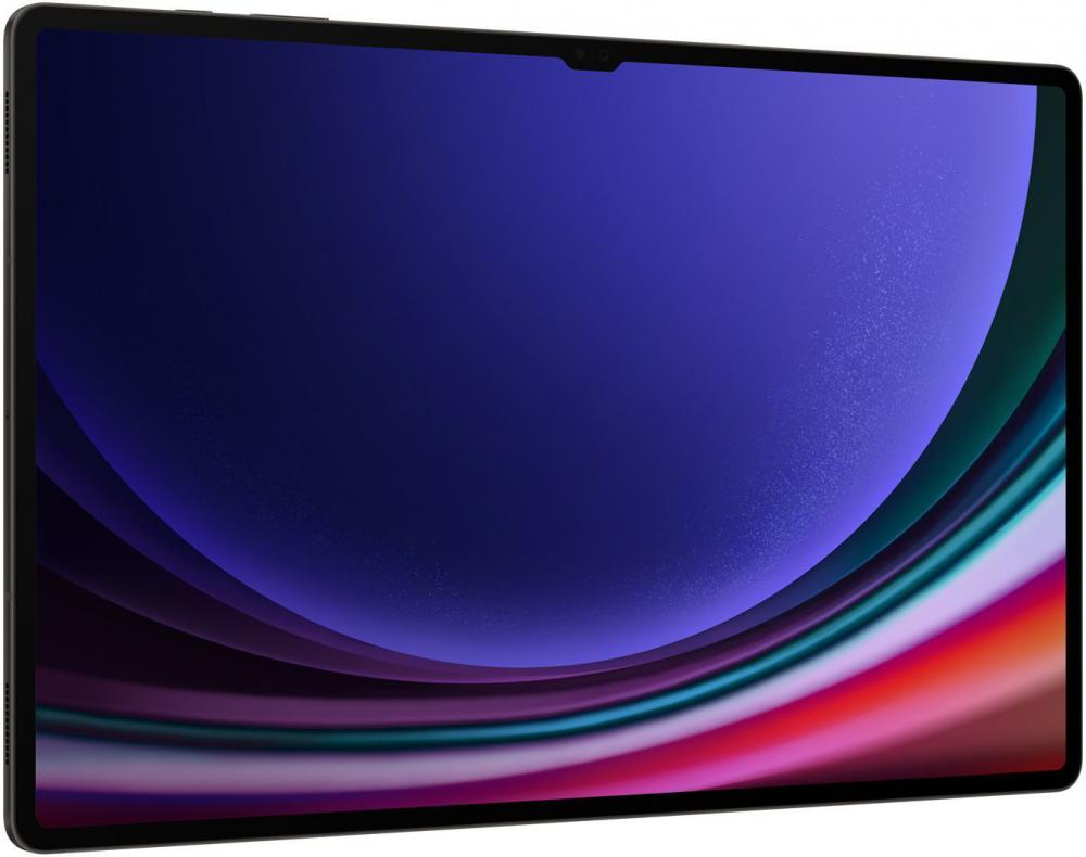 Планшет Samsung Galaxy Tab S9 Ultra 5G SM-X916 16GB/1TB (графитовый)