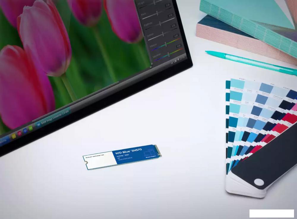 SSD WD Blue SN570 1TB WDS100T3B0C SSD WD Blue SN570 1TB WDS100T3B0C
