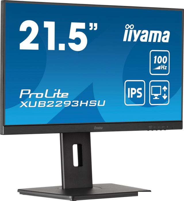 Монитор Iiyama ProLite XUB2293HSU-B6