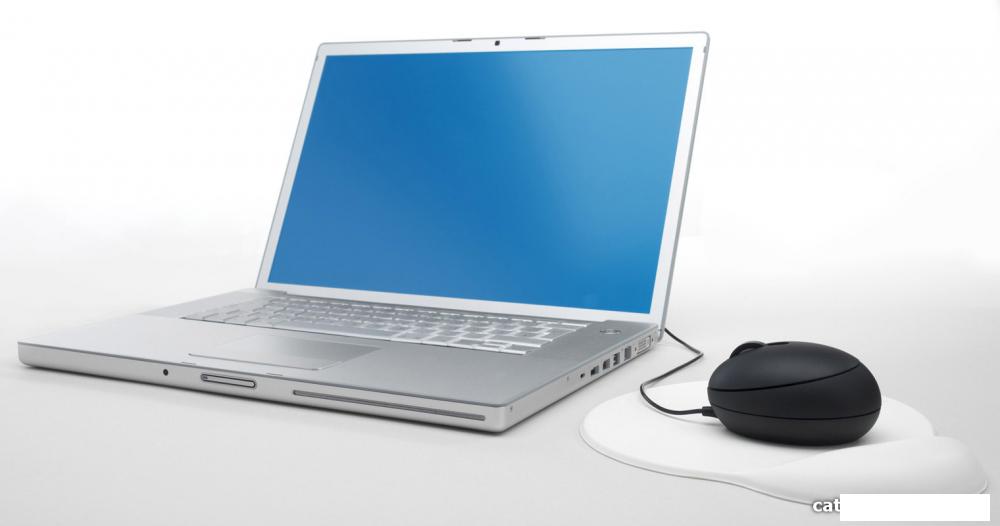 Мышь Elecom Egg Black (13005)