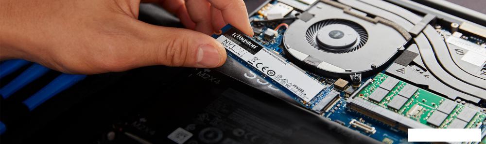 SSD Kingston NV1 250GB SNVS/250G