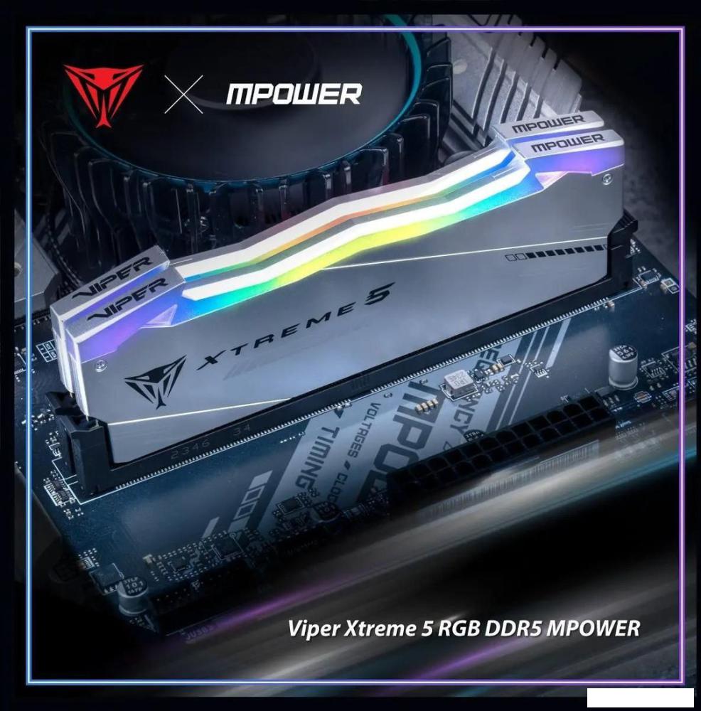 Оперативная память Patriot Viper Xtreme 5 2x24ГБ DDR5 6000 МГц PVXR548G60C30KM