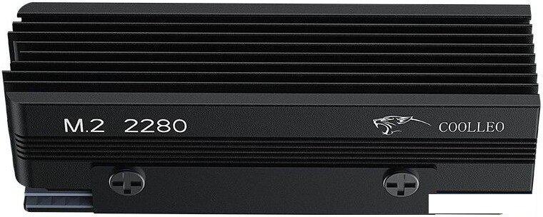 Радиатор для SSD Coolleo CL-V3SSD-BK
