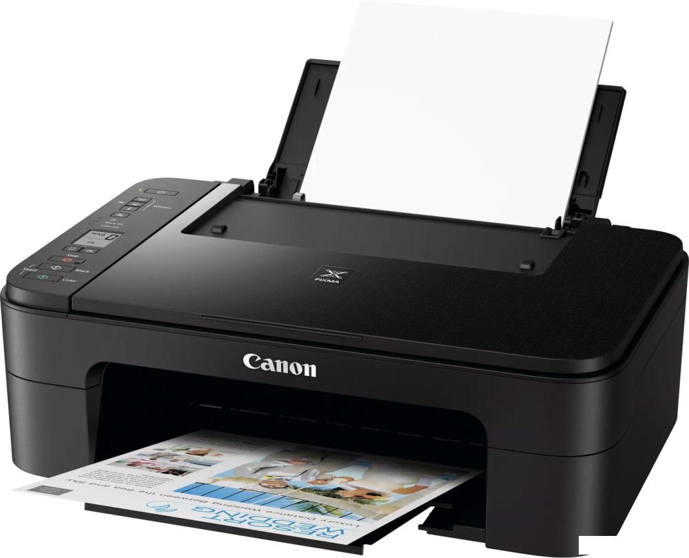 Принтер Canon PIXMA TS3350 3771C006