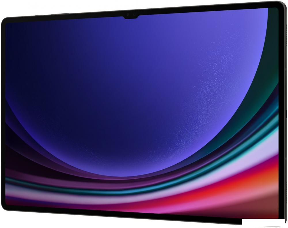 Планшет Samsung Galaxy Tab S9 Ultra 5G SM-X916 16GB/1TB (графитовый)