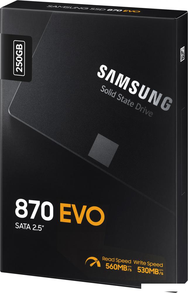 SSD Samsung 870 Evo 250GB MZ-77E250BW SSD Samsung 870 Evo 250GB MZ-77E250BW